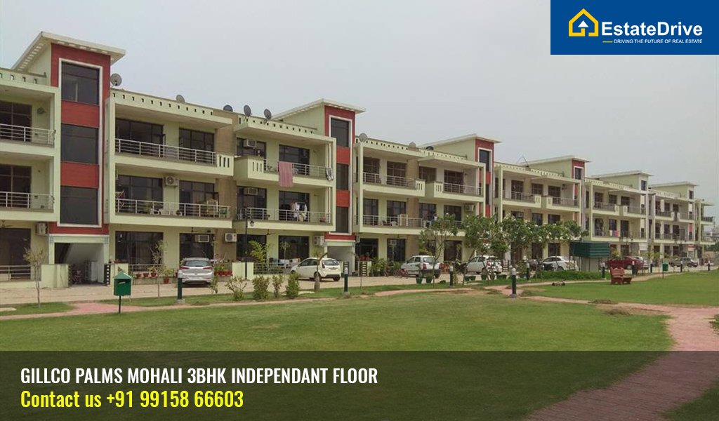 gillco palms mohali 3bhk independant floor