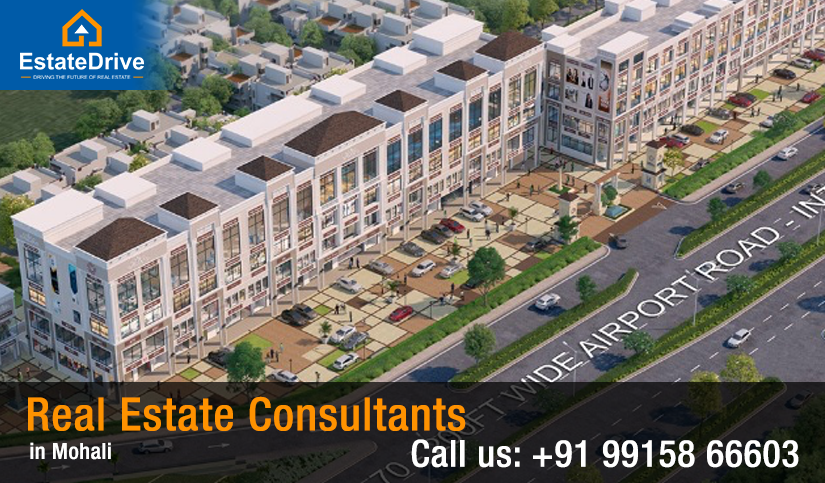 Real Estate Consultants in Mohali