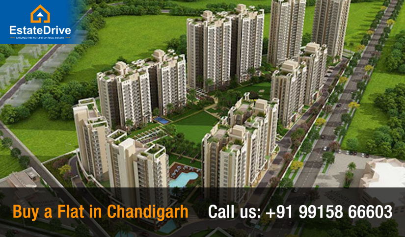 Buy a Flat in Chandigarh