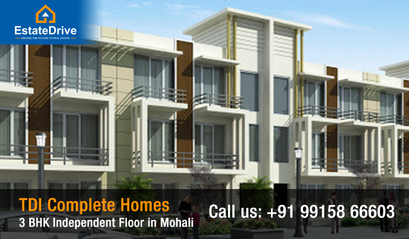 TDI Complete Homes, 3 BHK Independent Floor in Mohali