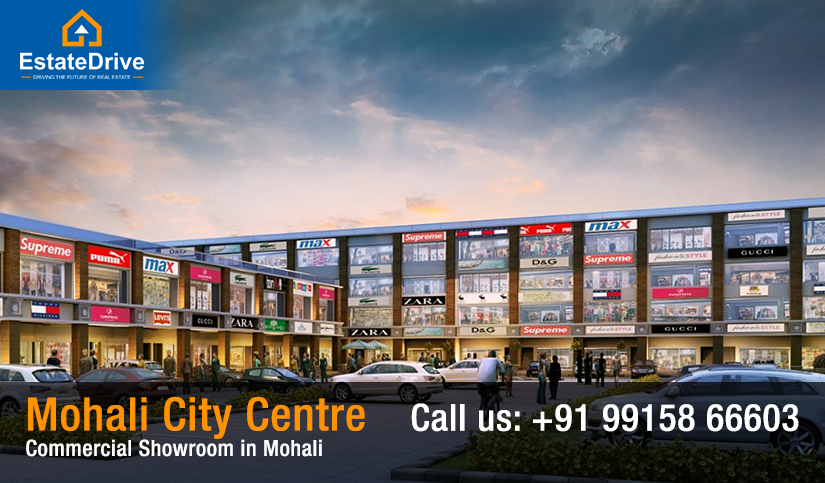 Mohali City Centre - Commercial Showroom in Mohali