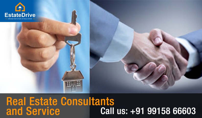Real Estate Consultants and Service