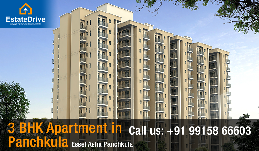 3 BHK Apartment in Panchkula - Essel Asha Panchkula