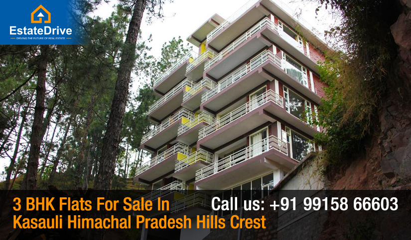 3 BHK Flats For Sale In Kasauli Himachal Pradesh Hills Crest