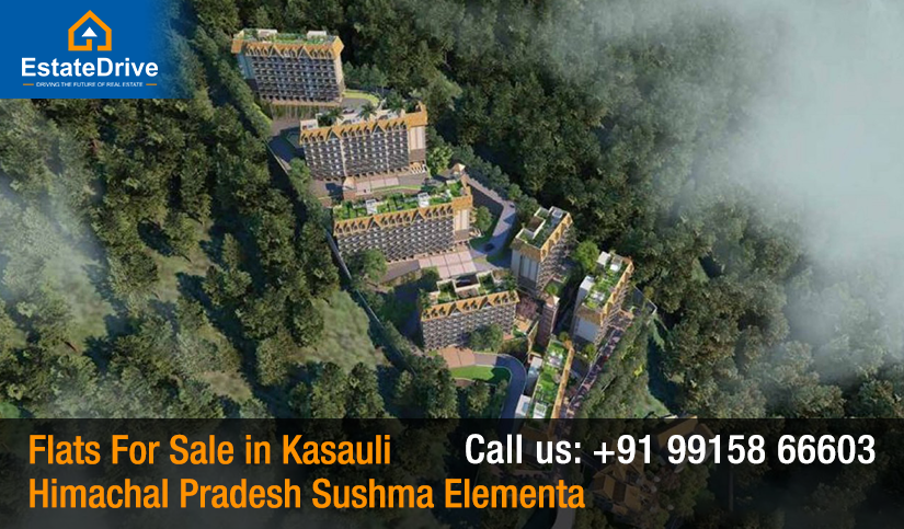 Flats For Sale in Kasauli Himachal Pradesh Sushma Elementa