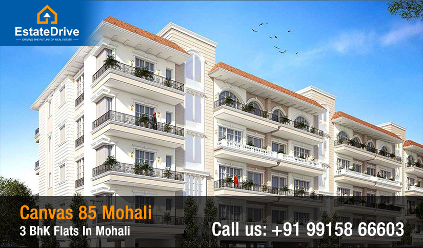 3 BhK Flats In Mohali, Canvas 85 Mohali