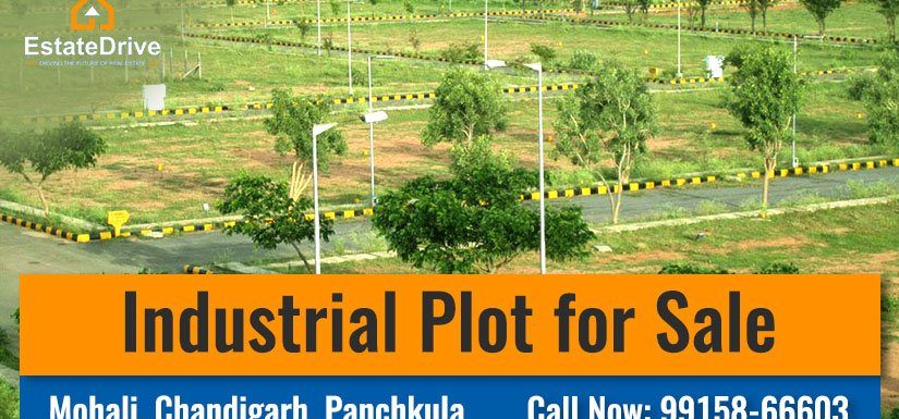 Industrial Plot for Sale