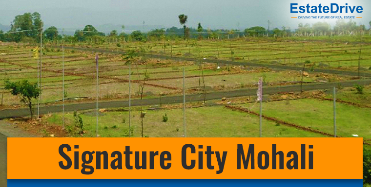 Signature City Mohali