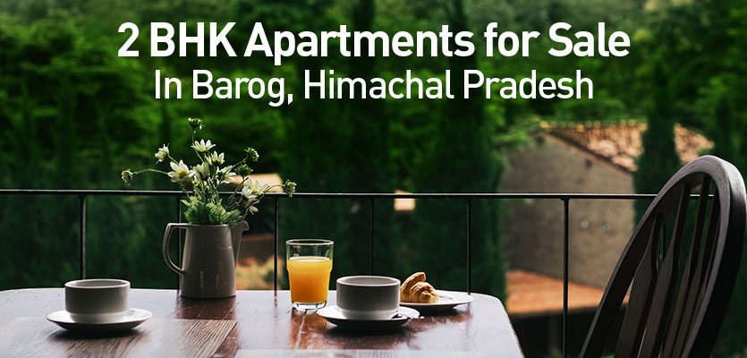 Elite Residency 12BHK Apartments in Barog, Himachal